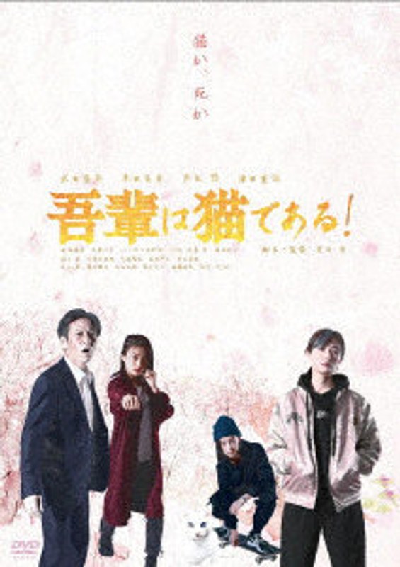 film thumbnail