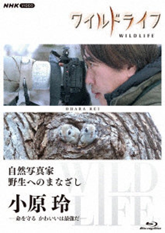 film thumbnail