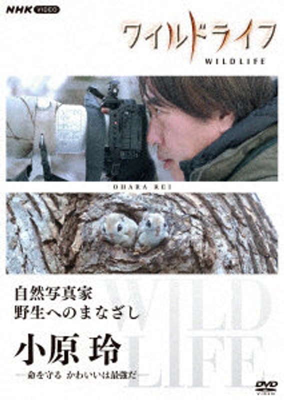 film thumbnail