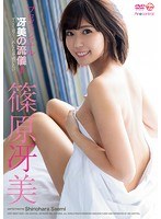 プロフェッショナル 冴美の流儀 篠原冴美のジャケット