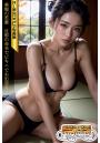SS-Paradise 美貌の若妻 旦那の命令でビキニでお出迎え AI美女グラビア写真集（POD）