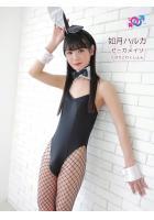 ゼーガメイリ 如月ハルカ（POD）