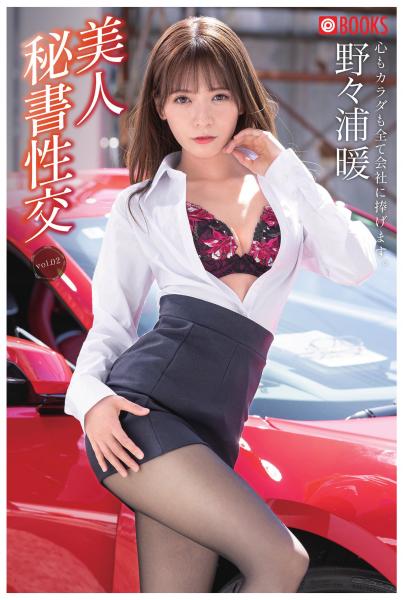 美人秘書性交 vol.02 野々浦暖（POD）