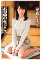 至高のセックス。芽森しずく（POD）