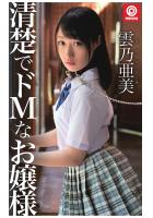 清潔でドMなお嬢様（POD）