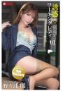 誘惑ワーキングレディ 野々浦暖 01（POD）