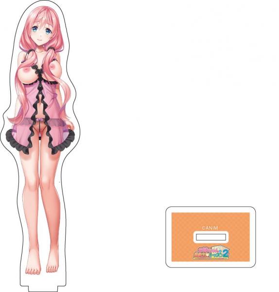 『お姉ちゃんのあまエロレッスン2〜お隣の巨乳お姉ちゃんにイッパイ甘やかされるめちゃエロライフ〜』 アクリルフィギュア 羽澄 六花（下着）