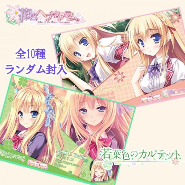 ミニ色紙コレクション【若葉色のカルテット】【花色ヘプタグラム】