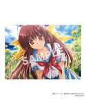 あかべぇそふとつぅアクリルパネルコレクション『車輪の国、向日葵の少女』