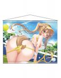 【猫りん堂】ぴこぴこぐらむ （R18）B2Wスエードタペストリー 6月27日受注開始分