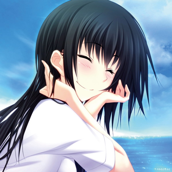 『真剣で私に恋しなさい！』アクリルブロックF