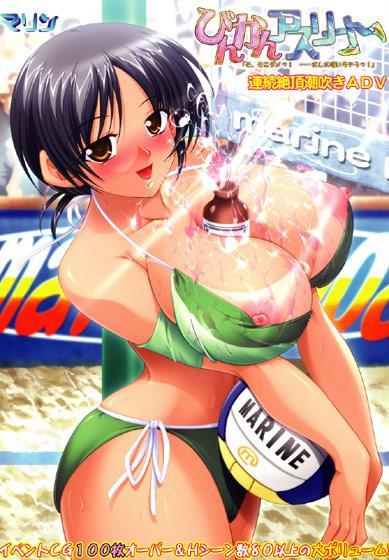 びんかんアスリート 廉価版