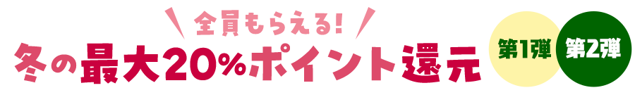 【FANZA】冬の最大20%ポイント還元キャンペーン